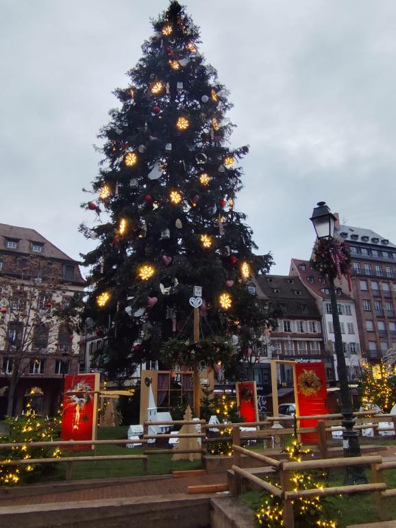 Sapin de Strasbourg 2025 Sapin de Strasbourg 2025