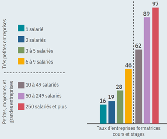 Céreq formation TPE