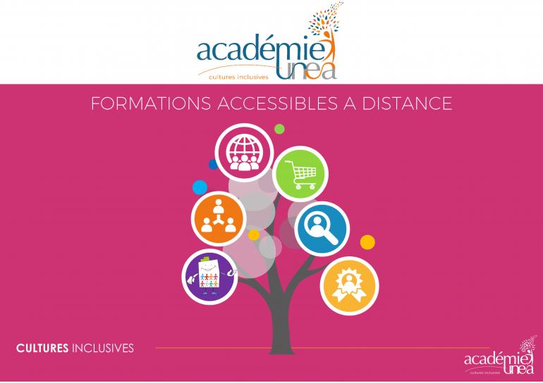 L'offre de formation à distance de l'académie UNEA