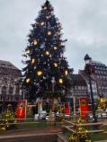 Sapin de Strasbourg 2025