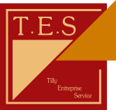 Logo TES