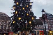 Derrière la magie du Sapin du marché de Noël de Strasbourg, le savoir-faire de professionnels en situation de handicap