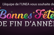 BONNES FETES DE FIN D'ANNEE