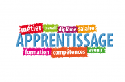 LANCEMENT DE L’ACTION « FAVORISER LE RECOURS A L’APPRENTISSAGE EN EA"