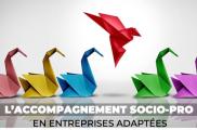 La démarche de professionnalisation de l’Accompagnement socio-professionnel en Entreprise Adaptée