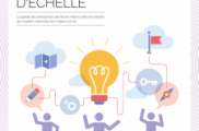 STRATEGIES POUR CHANGER D’ECHELLE