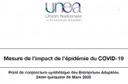 Mesure de l’impact de l’épidémie du COVID-19 sur les Entreprises Adaptées