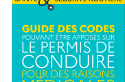 Mobilité des personnes en situation de handicap : un nouveau guide publié par l’État